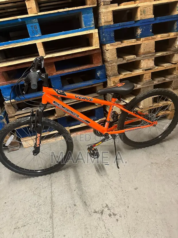 24-Inch Verve Edgar Mountain Bike