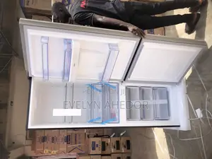 Quality Pearl Mirror Bottom Freezer 309 Liters Available
