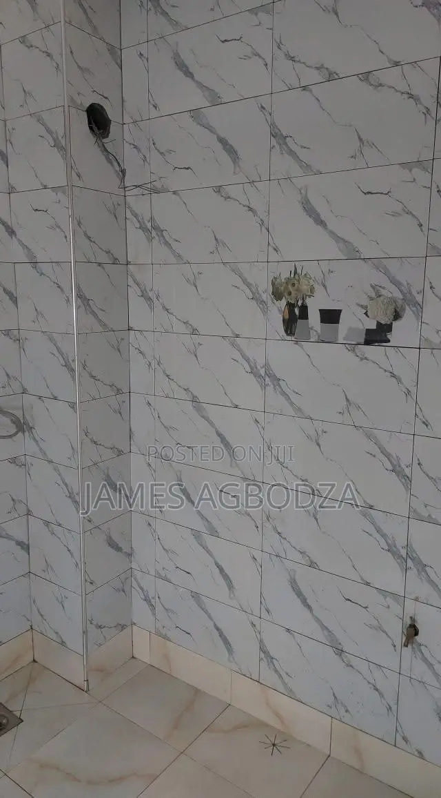 Floor and Wall Tiles Master
