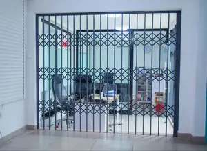 Black Collapsible Door