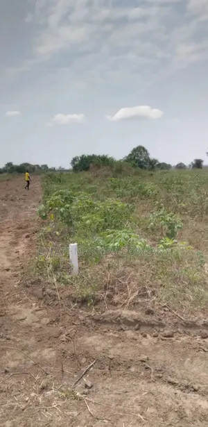 Good Location Land With Free Documentation