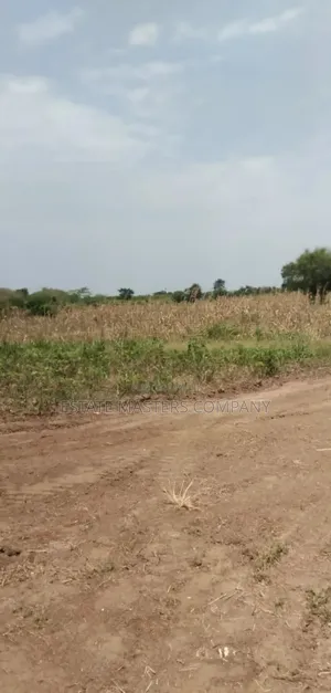 Good Location Land With Free Documentation