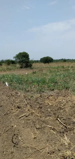 Land at Dominase Township With Authentic Documents