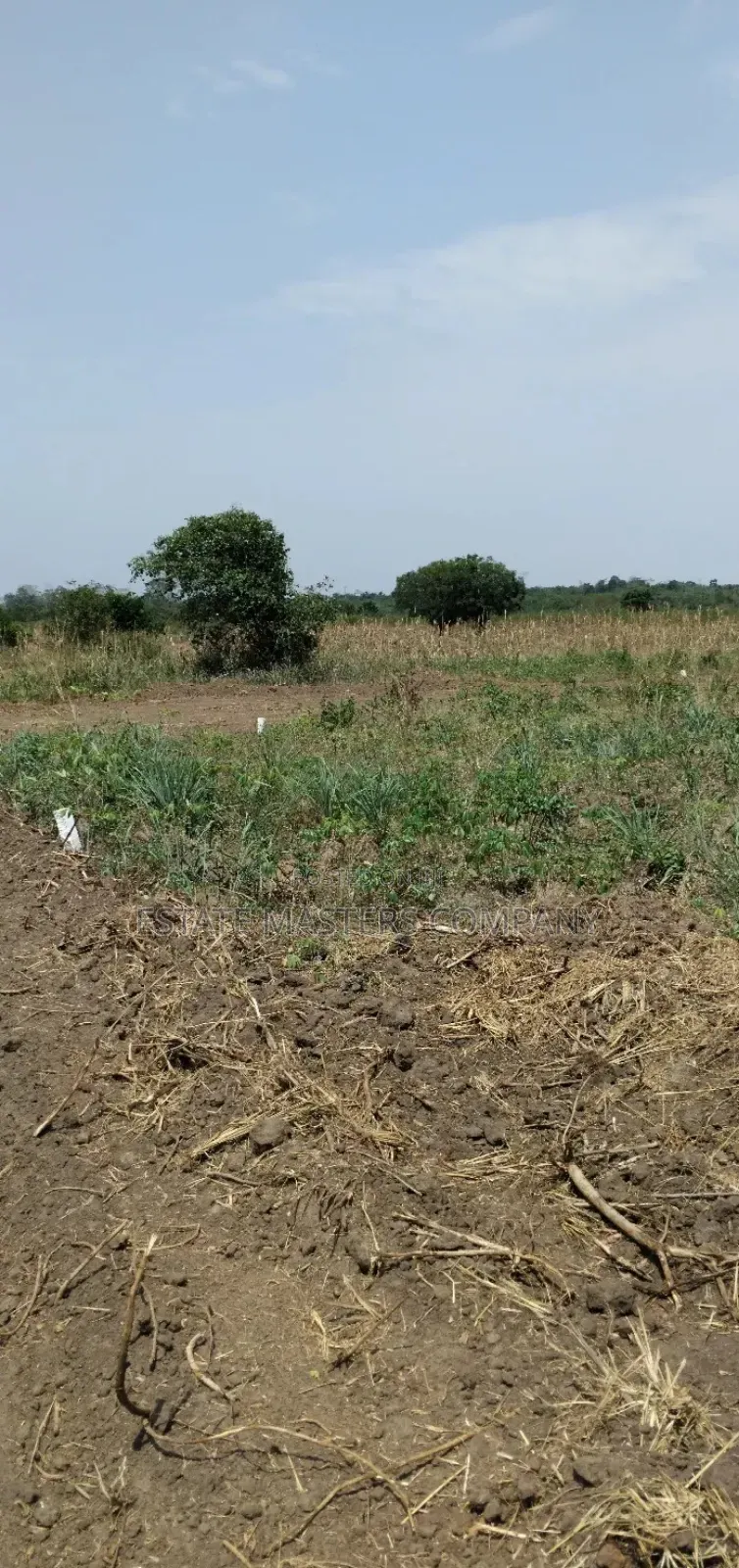Land at Dominase Township With Authentic Documents