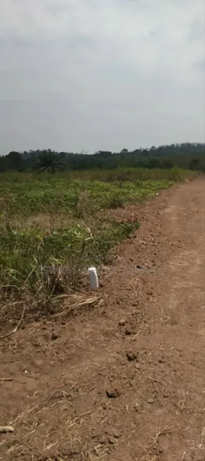 Panfokrom Land With Good Road and Network