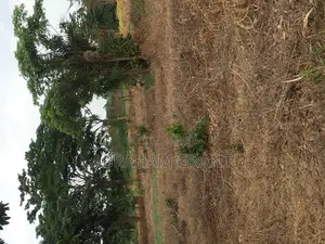 Plot of Land for Sale at Ejisu Boankra