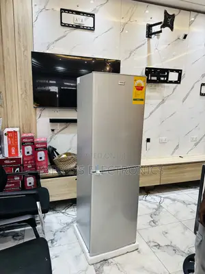 Dynamic Design Grey Double Door Fridge Nasco Nasd2-24fl