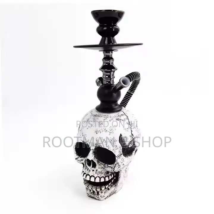 Led Light Up Skull Hookah, Hose Hookah Kit