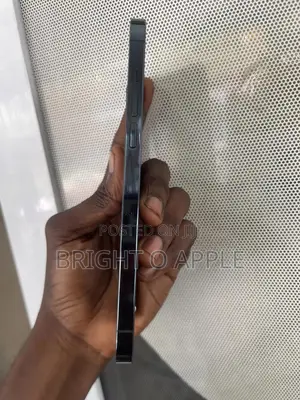 New Apple iPhone 12 Pro Max 256 GB Blue