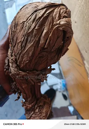 Original Tobacco