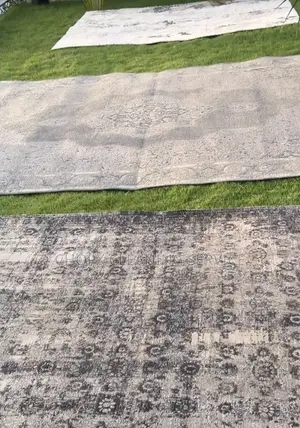 Professional Carpet Cleaning Services Deep Wash Fast Drying