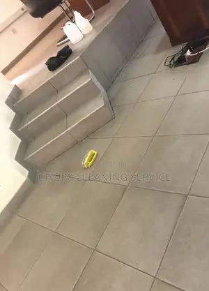 Expert Floor Cleaning Polishing Shine That Lasts