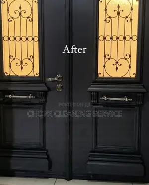 Professional Door Cleaning