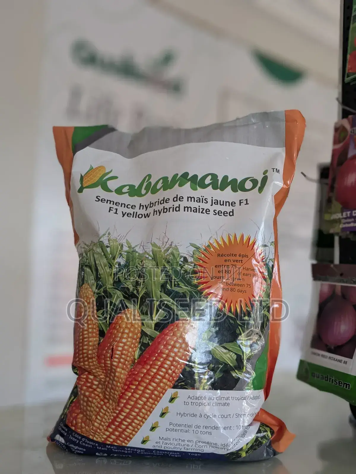 Hybrid Maize Kabamanoj