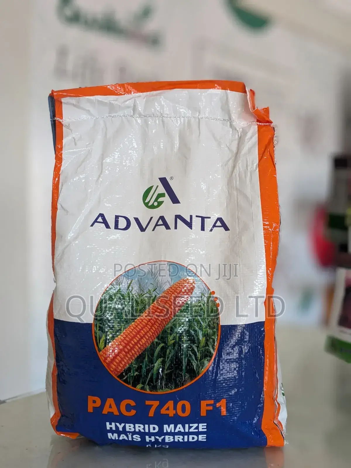 Seed Maize Pac 740