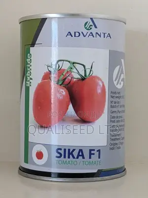 Tomato Sika F1