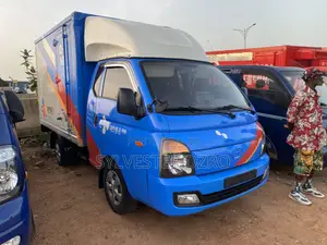 Hyundai Potter Automatic