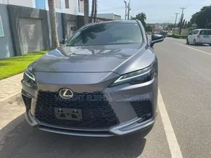 Photo - Lexus RX 350 2024 Gray