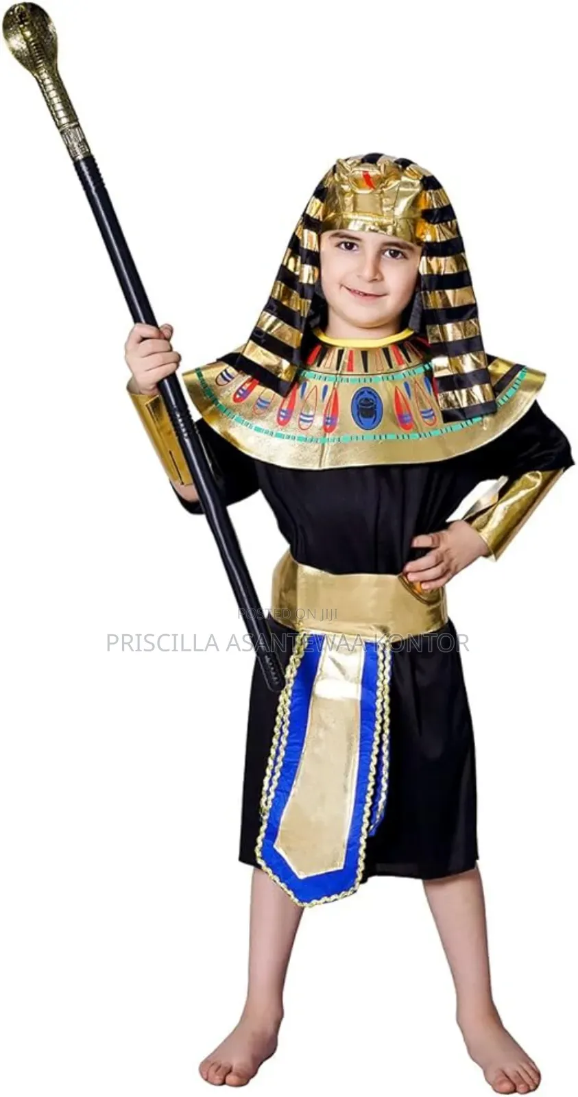 Cleopatran Costumes