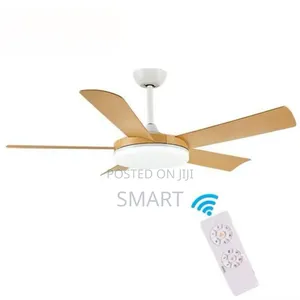 Executive Art Fan Light With Remote