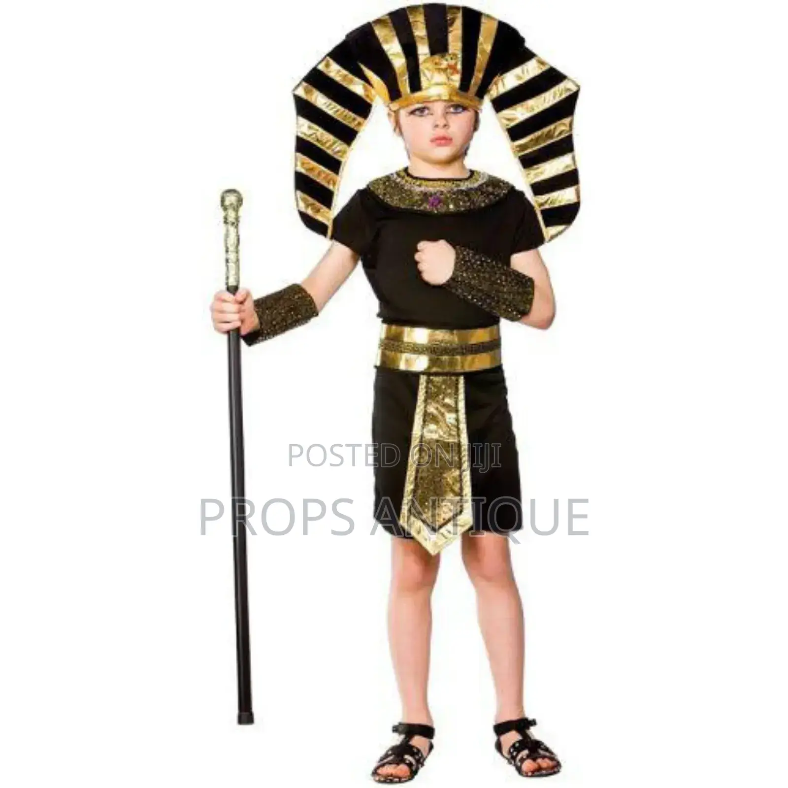Egyptian Pharaoh Costumes for Au Day