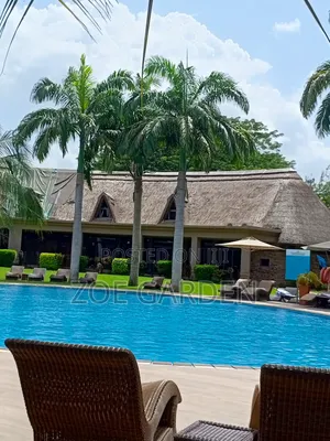 Palm Trees