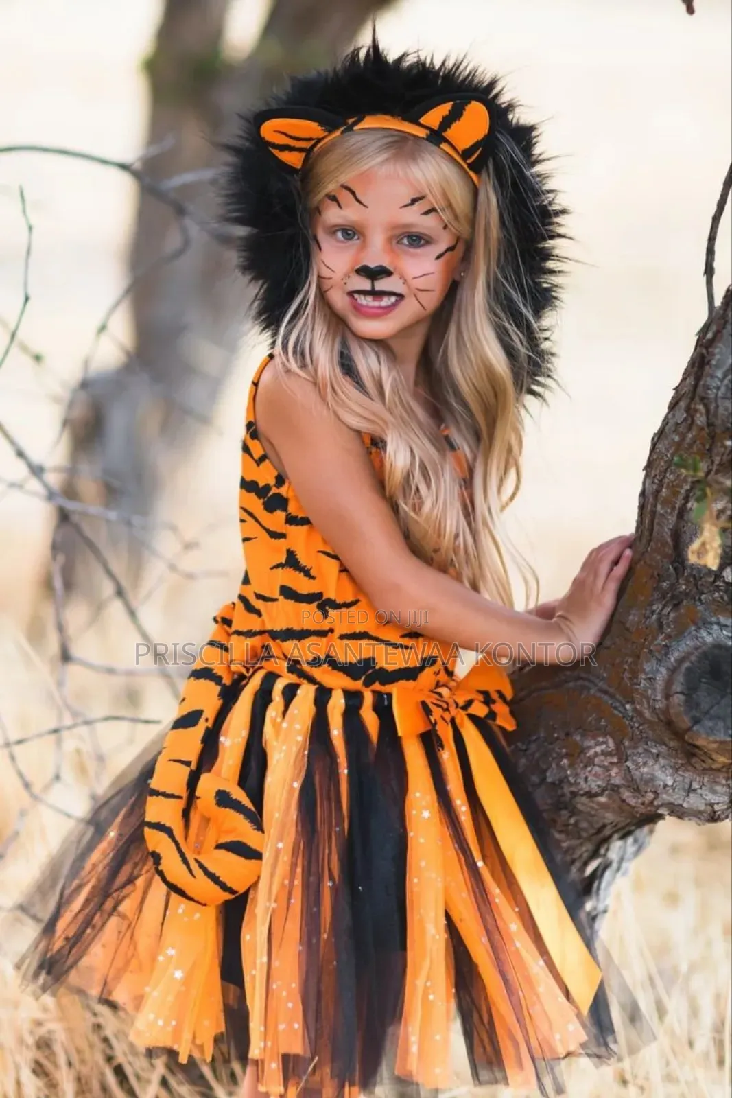 Animal Character Costumes