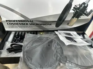 Condenser 2 Pin Microphone