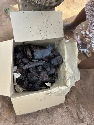 Smoked Catfish