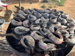 Smoked Catfish