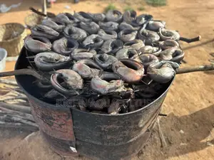 Smoked Catfish
