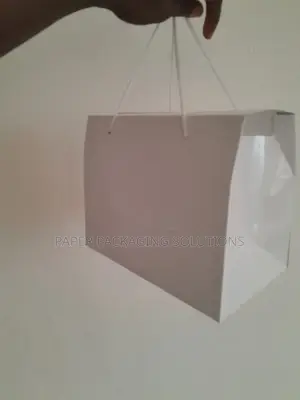 Plain Box Bag