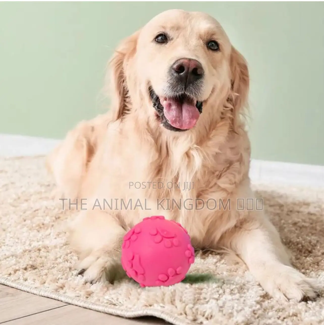 Dog Toy Ball 
