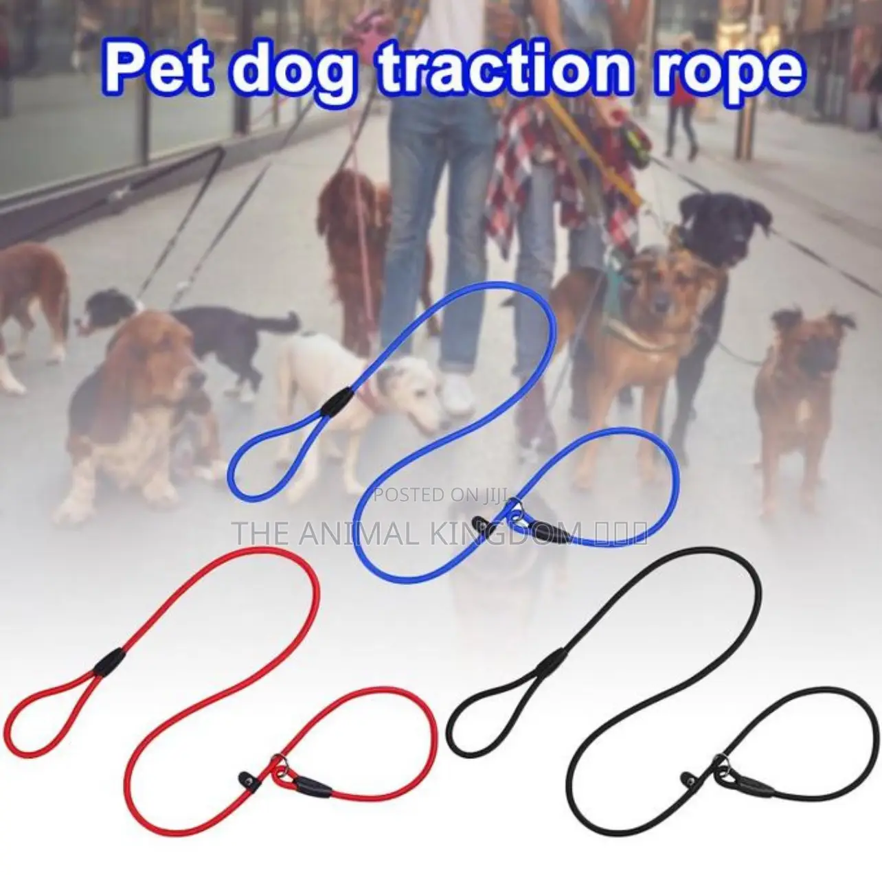 Pet Durable Training Leash