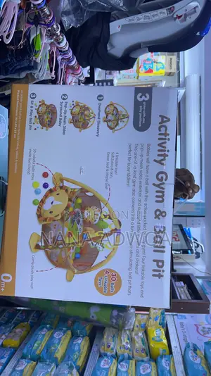 Activity Gym and Ball Pit