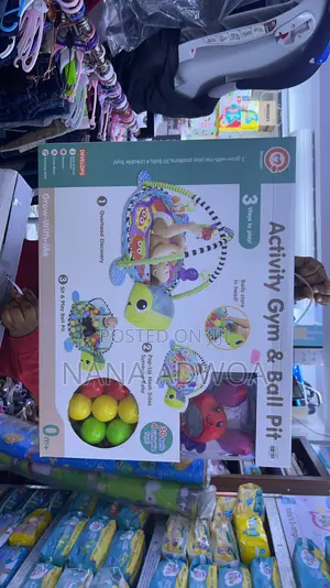 Activity Gym and Ball Pit