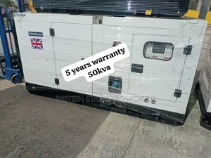 Resilient 50kva Silent Diesel Generator Set for Heavy Duty
