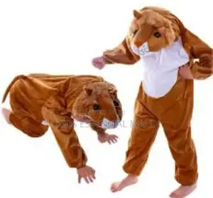 Lion Costume for Children