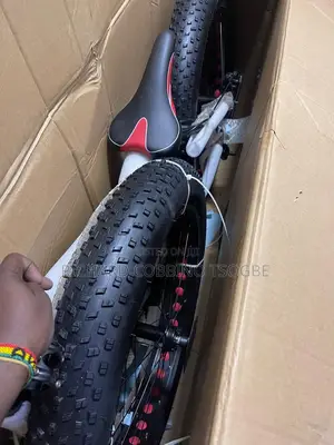Fat Tire Exclusive