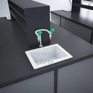 Ceramic Acid Resistant Science Laboratory Sink