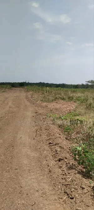 Land With No Legal Case