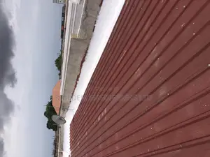Secret Roof Leakage Treatment Expert