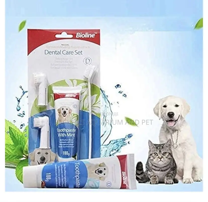 4 in 1 Dental Care for Dogs and Cat