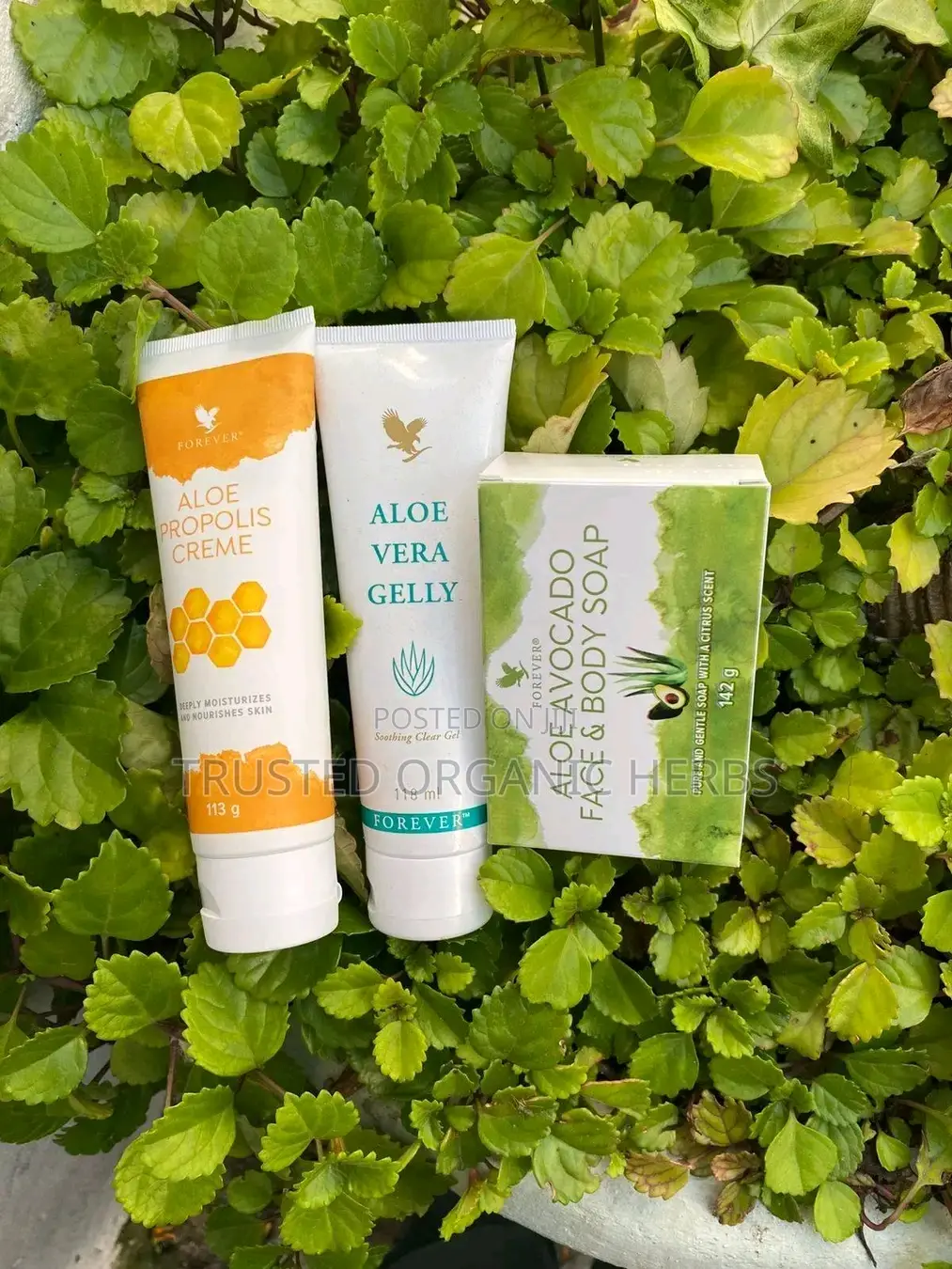 Best Skincare Combo - Acne Solution