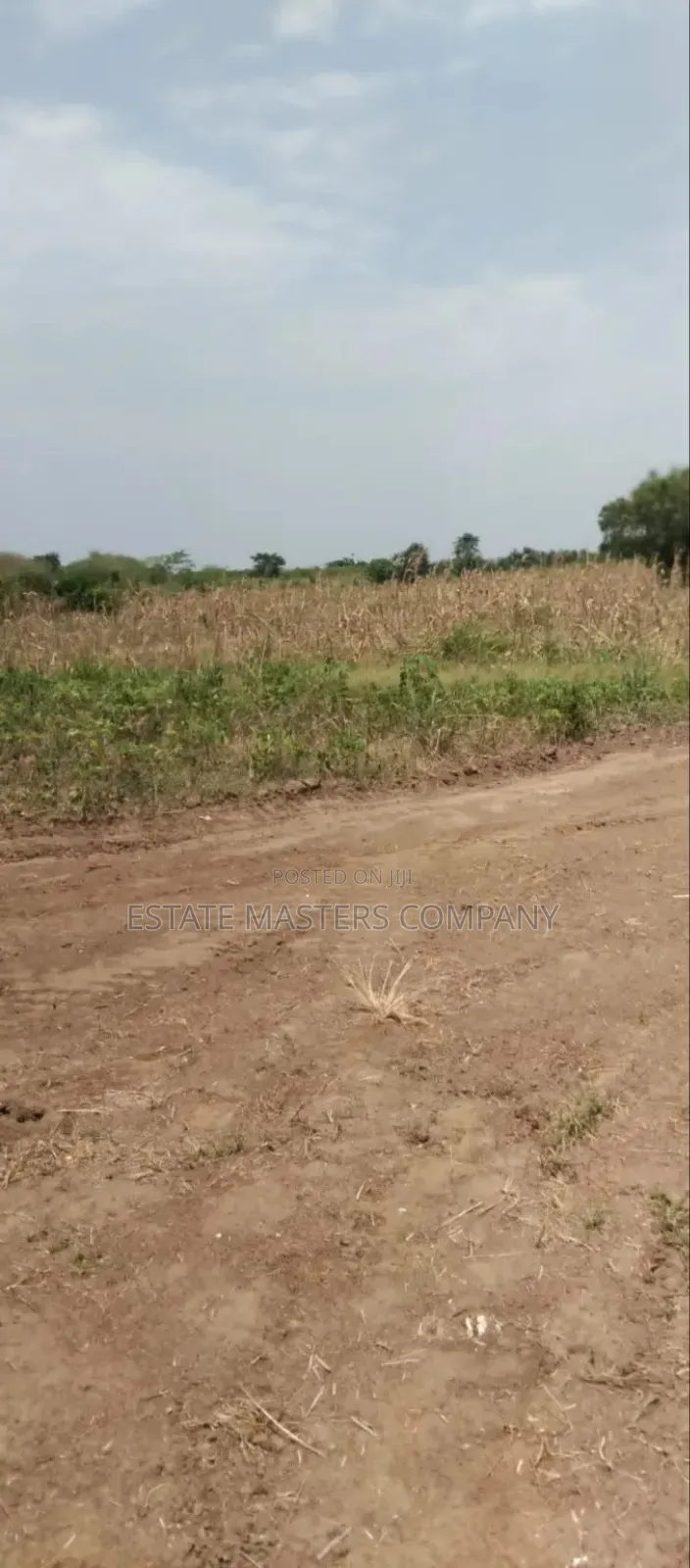 Yayira Land at Panfokrom