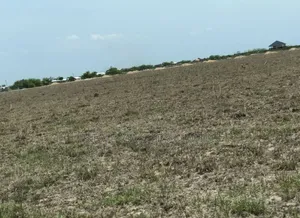 The Best Deal in Town, Estate Land You Can Afford, "Tsopoli