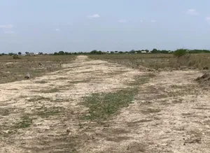 The Best Deal in Town, Estate Land You Can Afford, "Tsopoli