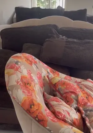 Sofa Door Cleaning Services – Safe, Fresh Spotless!