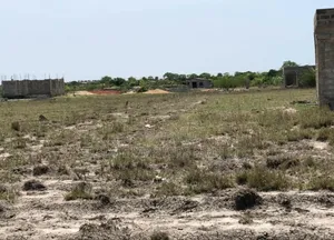 Nature Friendly, Estate Plots for a Healthier Lifestyle