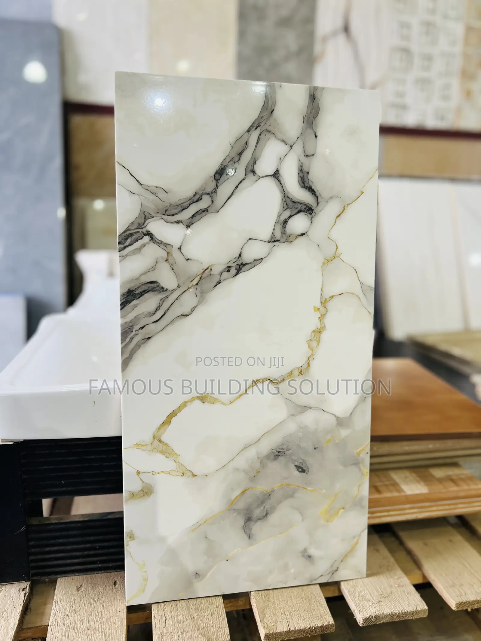 Polished Wall Tiles (30/60)